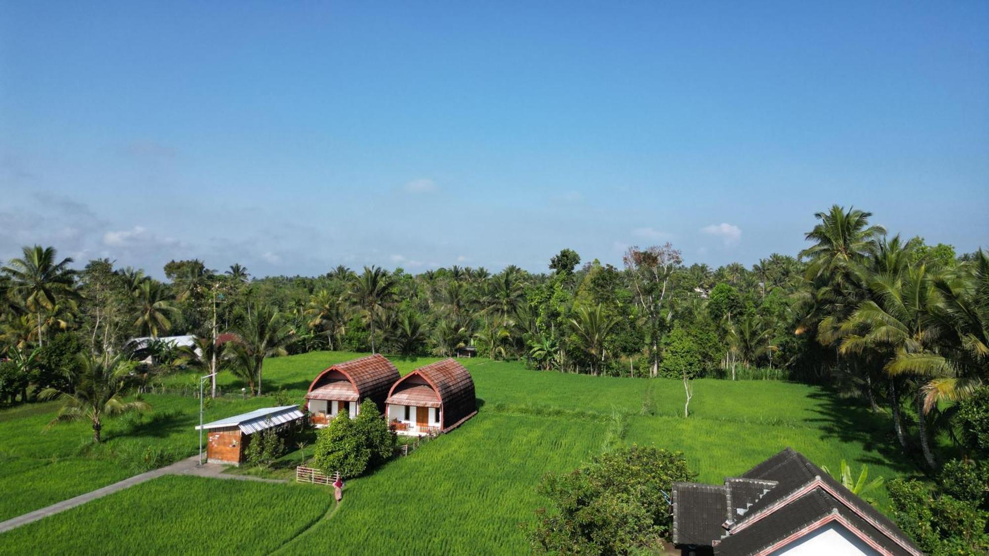Bale Tetebatu Vila Exterior foto