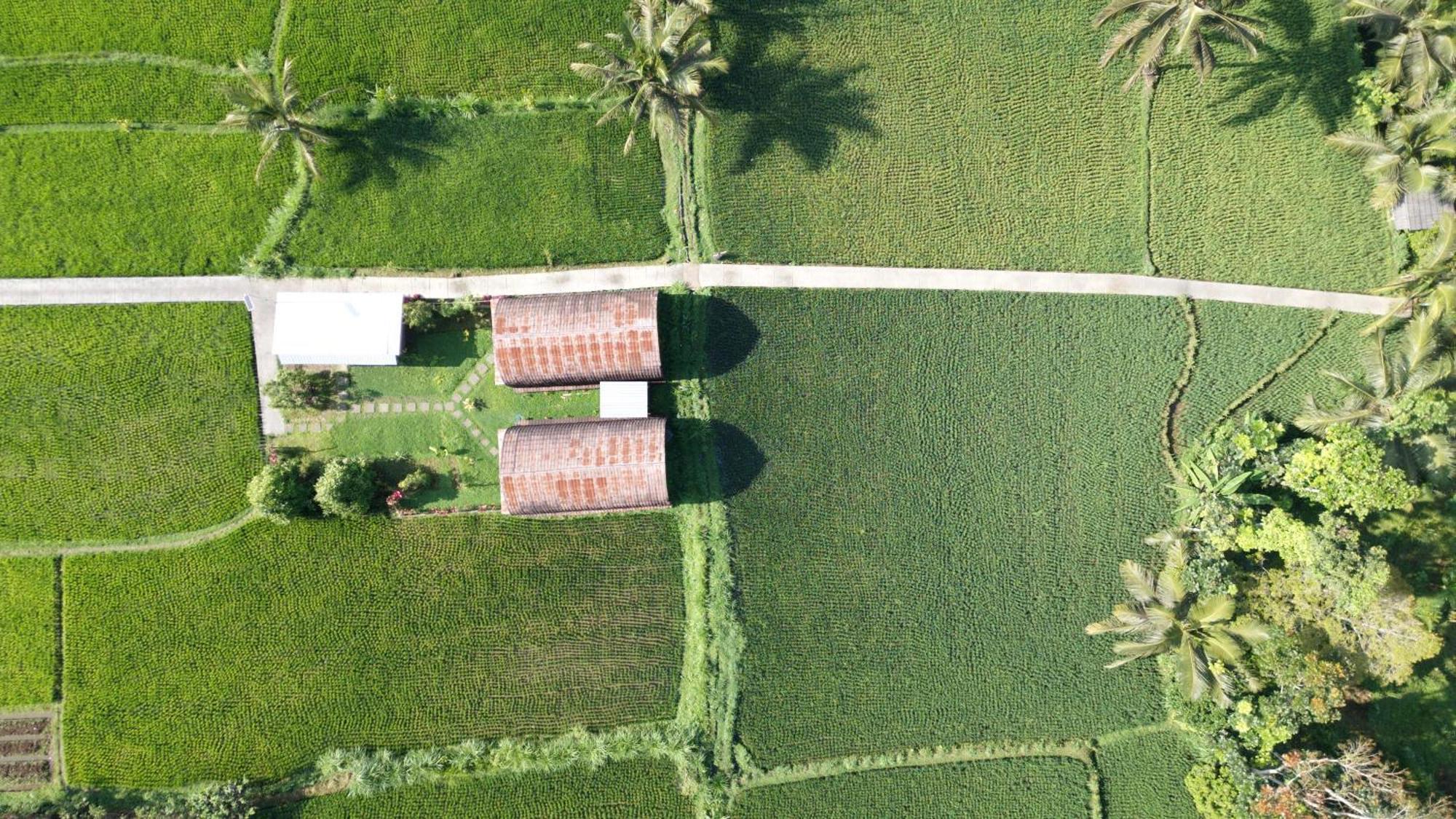 Bale Tetebatu Vila Exterior foto