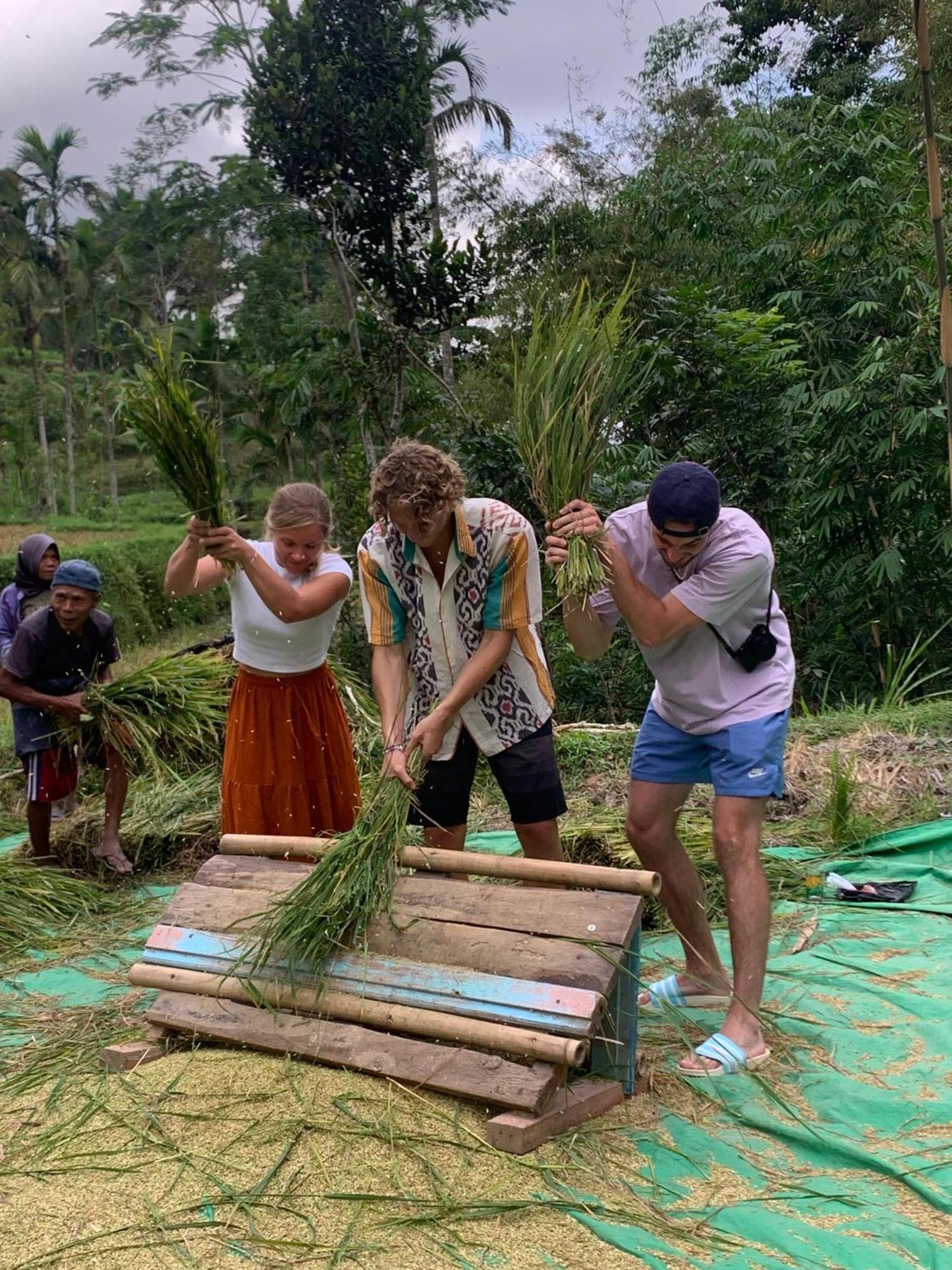 Bale Tetebatu Vila Exterior foto