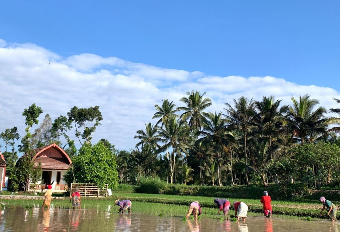 Bale Tetebatu Vila Exterior foto