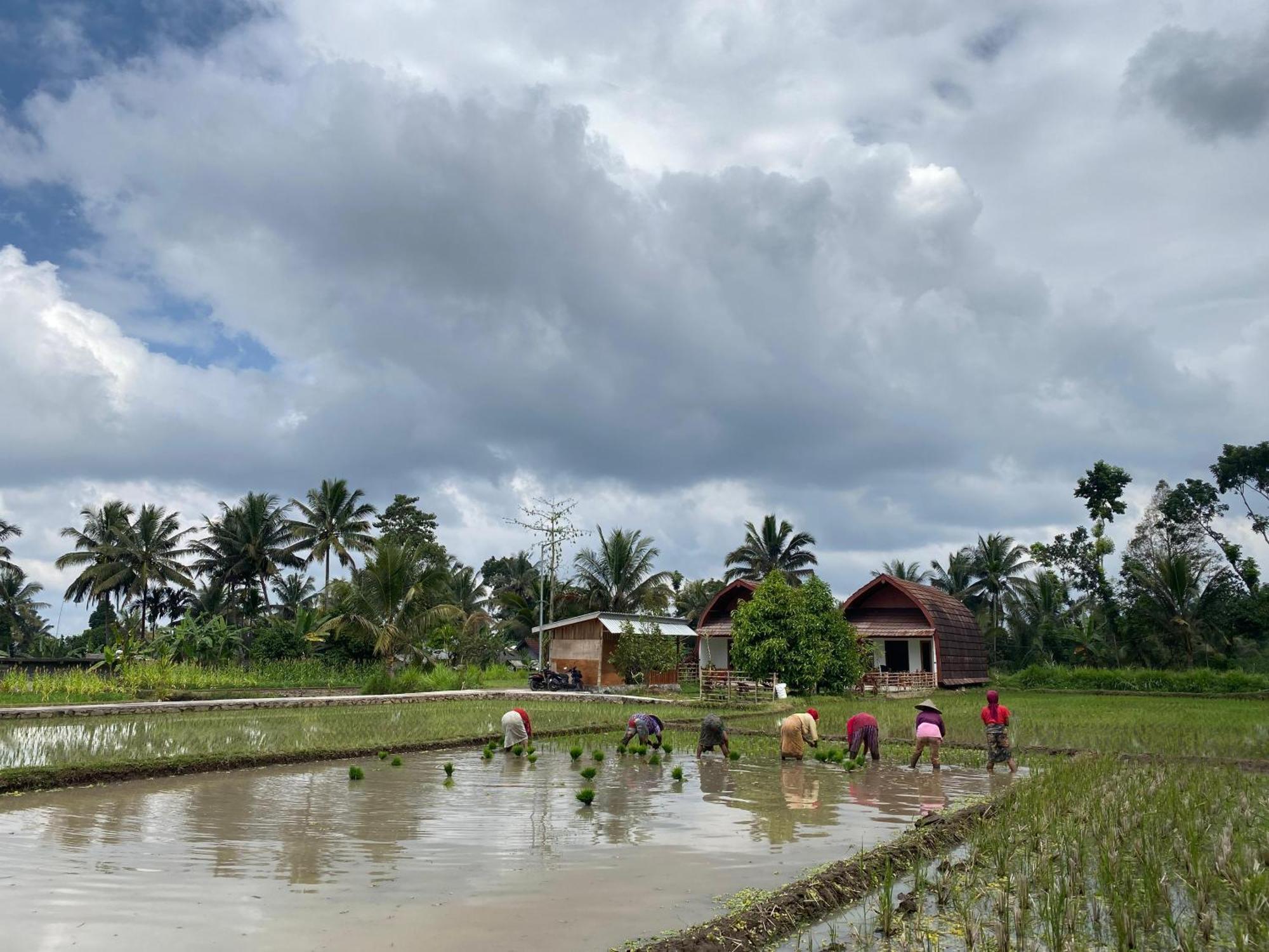 Bale Tetebatu Vila Exterior foto